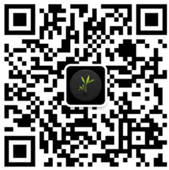 手机扫一扫